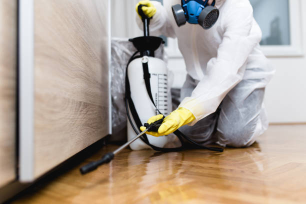 Best Insect Control  in Park Rapids, MN