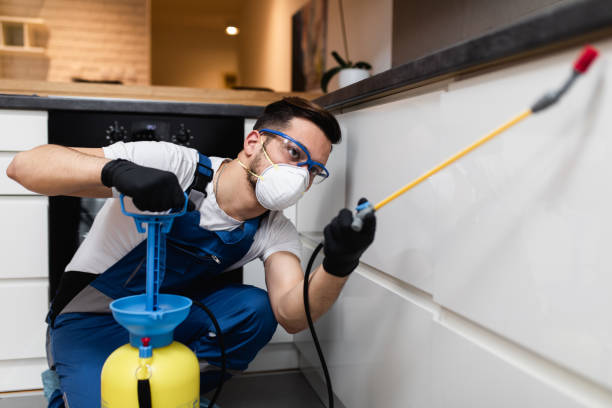 Reliable Park Rapids, MN Pest Control Solutions