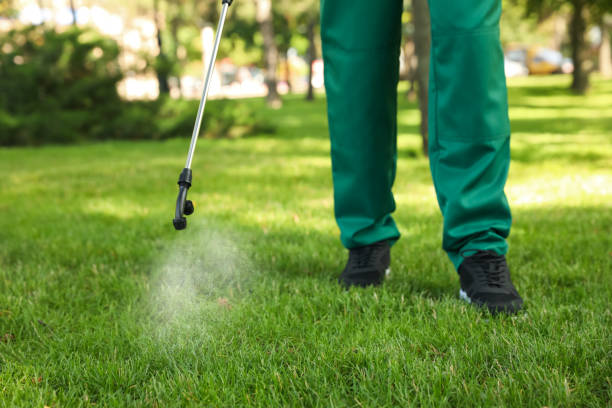 Best Rat Extermination Near Me  in Park Rapids, MN