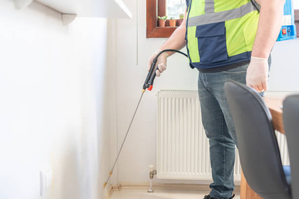  Park Rapids, MN Pest Control Pros