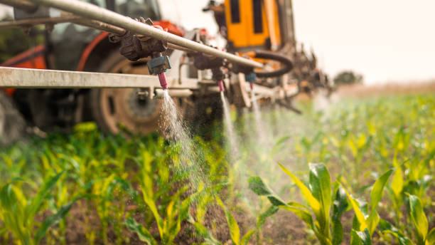 Pest Prevention Services in Park Rapids, MN